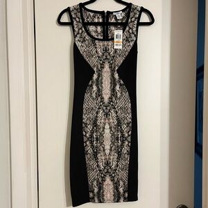 Bar lll size small fitted dress dress with back zipperr